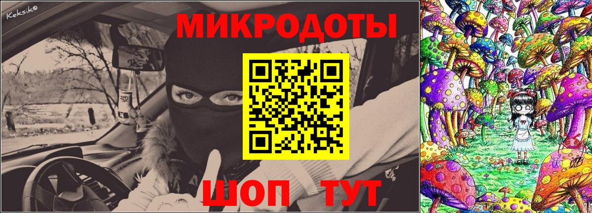 Псилоцибиновые грибы Psilocybe  Вход с VPN  Псилоцибиновые грибы ЛСД  Павлово 