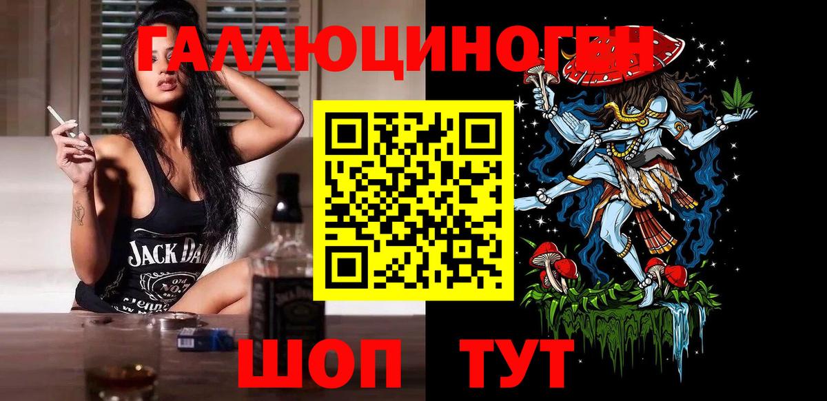 Галлюциногенные грибы Psilocybe Павлово
